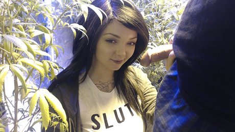 Soyacide model free pics