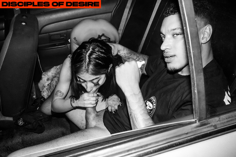 PaintJunkBunny star gallery