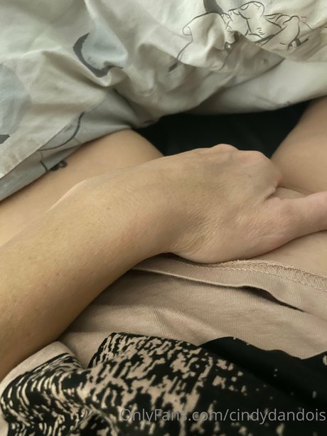 cindy dandois star hot pictures