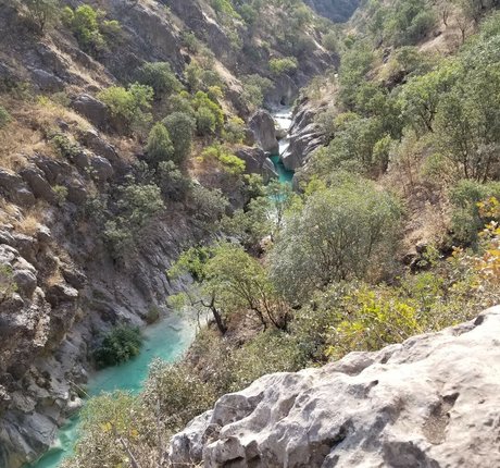 Summers VonHesse star nice pictures