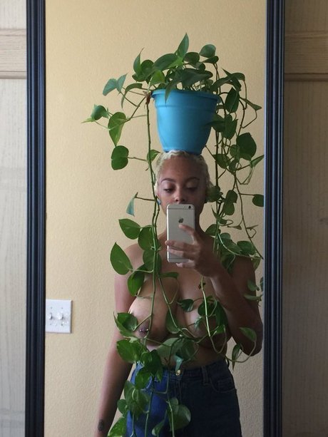 bbywolf666 xxx star pic