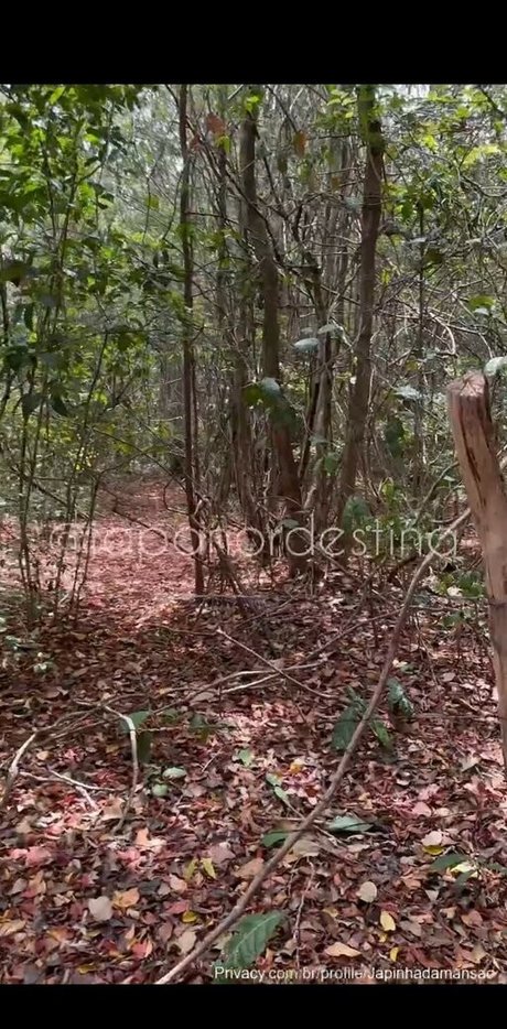 Japa Alee exclusive pornstar pics