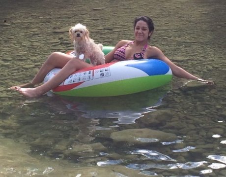 Bayley star art galleries