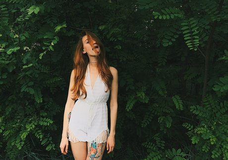 Umbird perfect star img