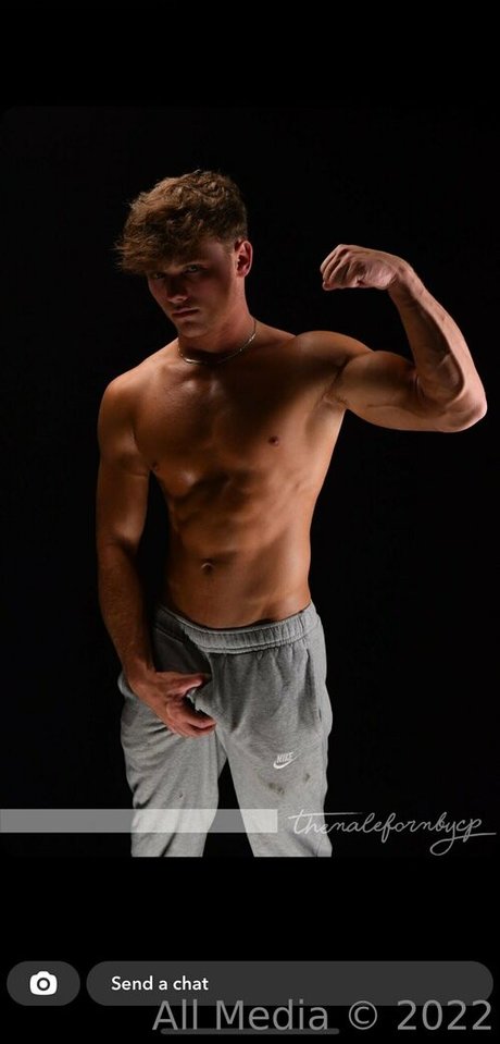 taylorsfree star hot image