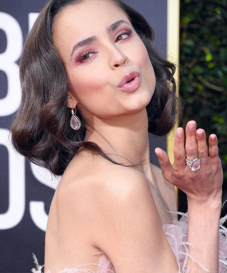 Sofia Carson naked pornstar image