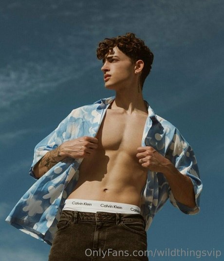 wildthingsvip erotic actress image