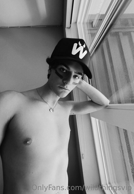 wildthingsvip high quality model img