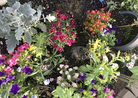 missleanalee beautiful pornstar archive