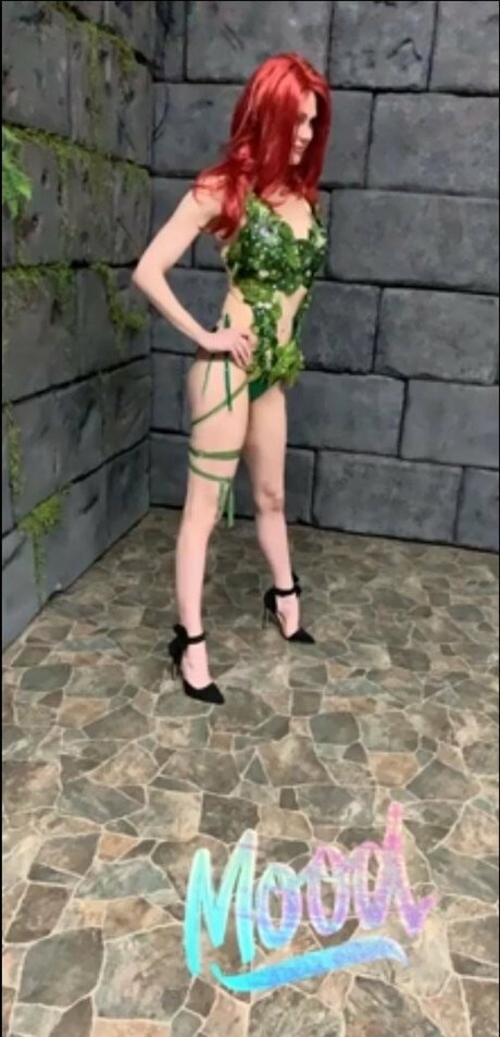 maitlandward exclusive star image