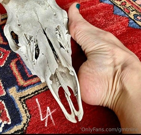 gmtninc star sex photos