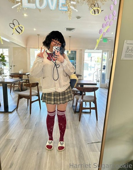 harrietsugarcookie star art img