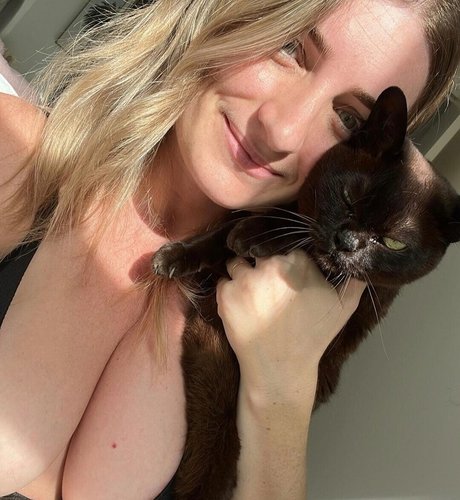 B Rookrlambert model best image