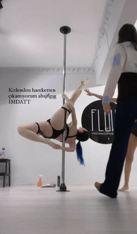 Aldreann art star archive