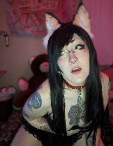 lovexee perfect star img