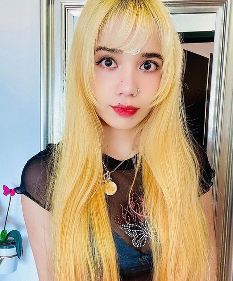 Windygirk star xxx archive