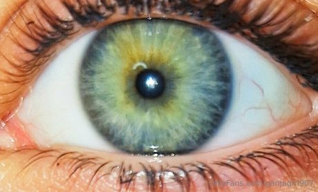 ganjagirl907 model free pic