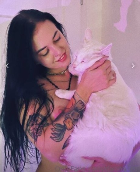 darina cat model nice pictures