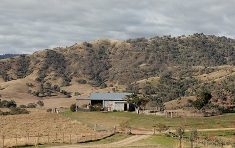 Natalie Jayne Roser star high quality img