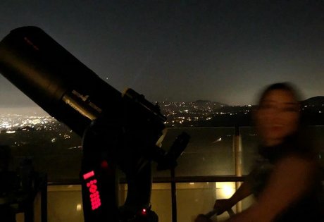 Dajinism pornstar img