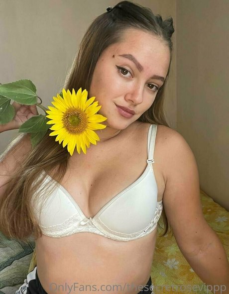 thesecretrosevippp perfect star gallery