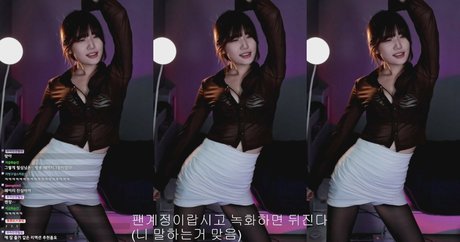 yule__0 03 best model gallery