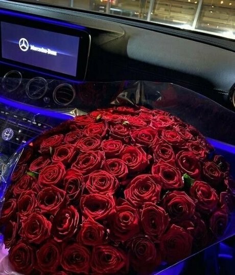 sophialauder sex model gallery