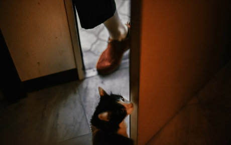 eeelyeee high quality pornstar images