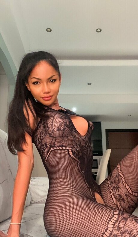 peachy lily art star galleries