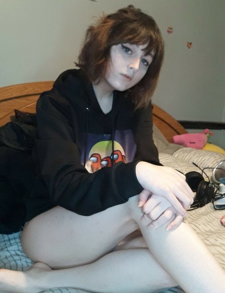 korvid snd star high quality galleries