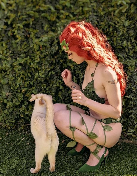 bunnybiifree model top image