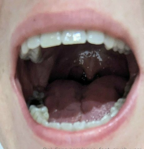 anna feet crush vore xxx star galleries