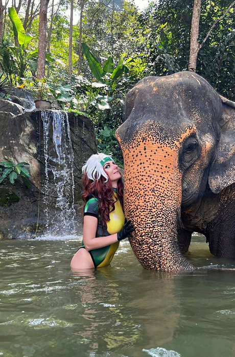 AGflower Cosplay high quality star image