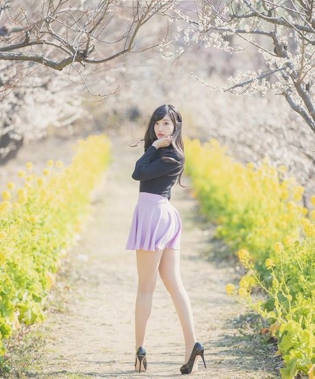 Ayachamo 1028 star adult picture