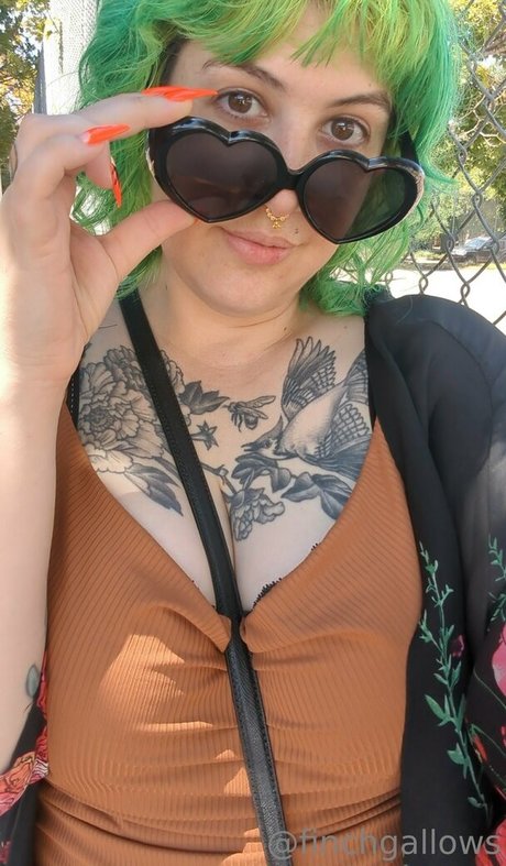 finchgallows nice star images