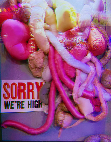 pottymouth h star best images