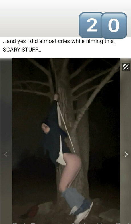 kittenthen3rd free pornstar gallery