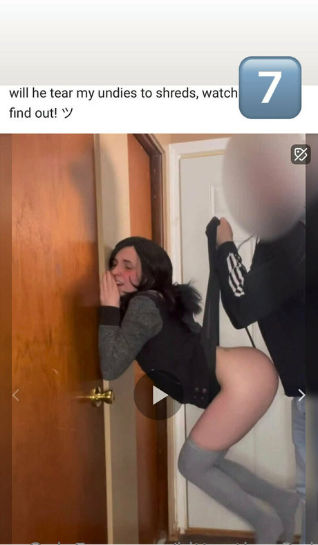 kittenthen3rd star best pic