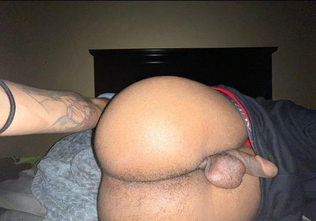 lilxfat sex pornstar photos