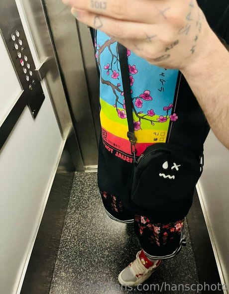 hanscphoto star beautiful photo