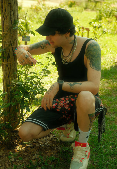 hanscphoto star beautiful gallery