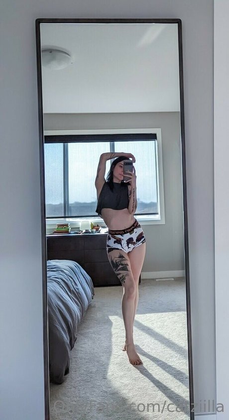 Catzilla model free photos