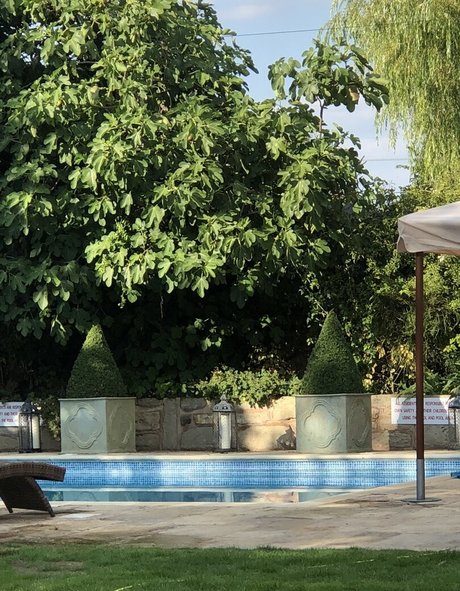 aldana30 exclusive model pictures