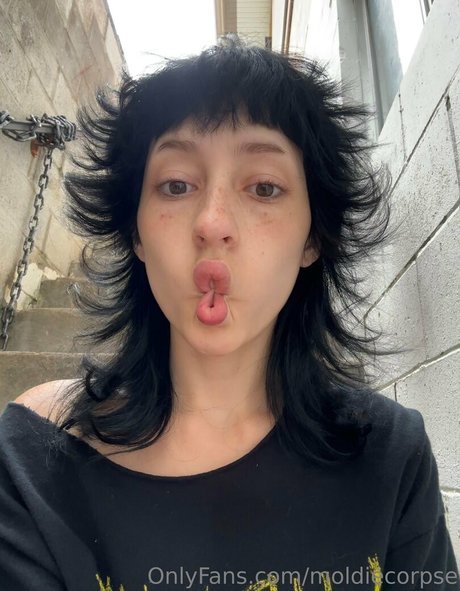 moldiecorpse beautiful pornstar picture