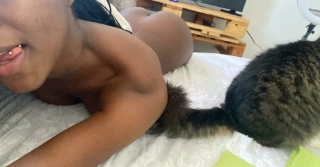 justkeik star porn gallery