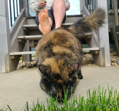 midweststacyfree star naked picture