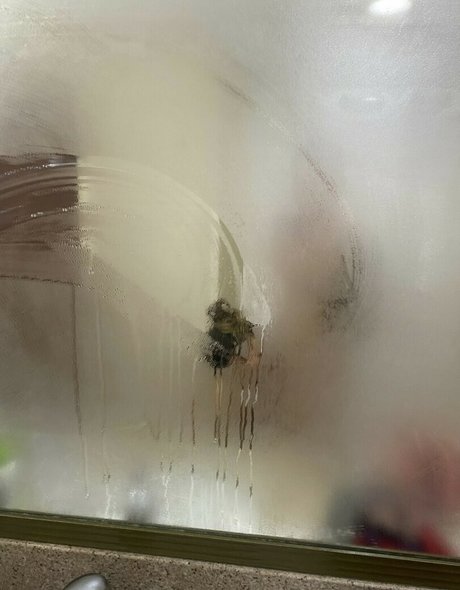 Hannaasmithhh_ pornstar erotic images