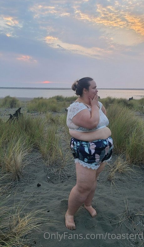 toasterd sex model photo