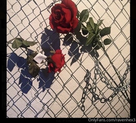 ravenhex3 adult actress photo