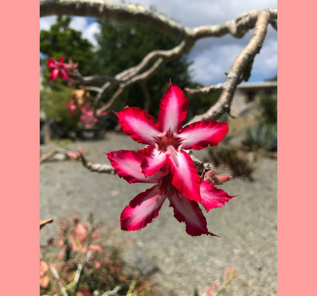 ravenhex3 high quality actress galleries